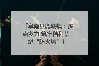 阜南县鹿城镇：多点发力 筑牢秸秆禁烧“防火墙”