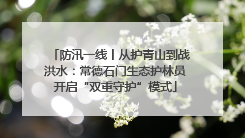 防汛一线丨从护青山到战洪水：常德石门生态护林员开启“双重守护”模式