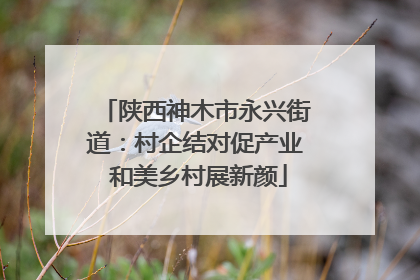 陕西神木市永兴街道：村企结对促产业 和美乡村展新颜