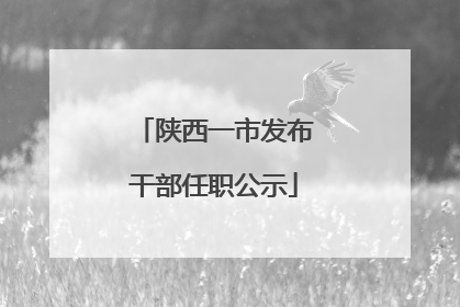 陕西一市发布干部任职公示
