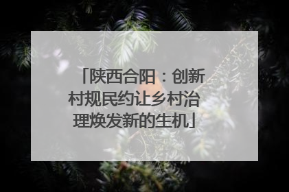 陕西合阳：创新村规民约让乡村治理焕发新的生机
