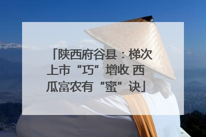 陕西府谷县：梯次上市“巧”增收 西瓜富农有“蜜”诀