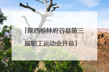 陕西榆林府谷县第三届职工运动会开幕