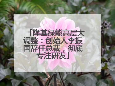 隆基绿能高层大调整：创始人李振国辞任总裁，彻底专注研发