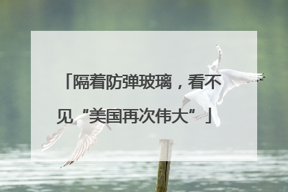 隔着防弹玻璃，看不见“美国再次伟大”