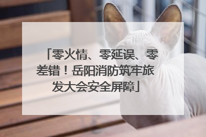 零火情、零延误、零差错！岳阳消防筑牢旅发大会安全屏障
