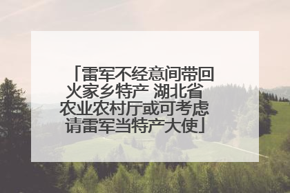 雷军不经意间带回火家乡特产 湖北省农业农村厅或可考虑请雷军当特产大使