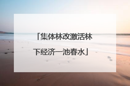 集体林改激活林下经济一池春水