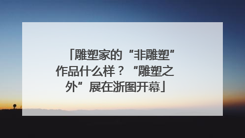雕塑家的“非雕塑”作品什么样？“雕塑之外”展在浙图开幕