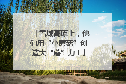 雪域高原上，他们用“小蘑菇”创造大“蘑”力！