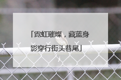 霓虹璀璨，藏蓝身影穿行街头巷尾