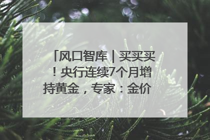 风口智库｜买买买！央行连续7个月增持黄金，专家：金价或仍易涨难跌
