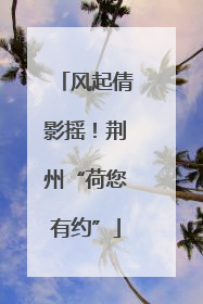 风起倩影摇！荆州“荷您有约”