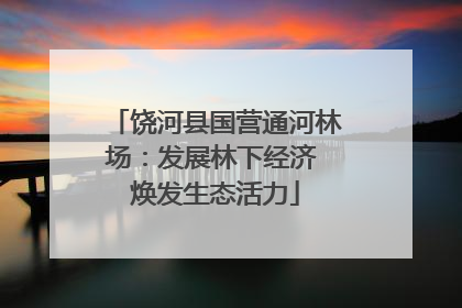 饶河县国营通河林场：发展林下经济 焕发生态活力