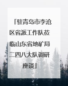 驻青岛市李沧区省派工作队莅临山东省地矿局二四八大队调研座谈