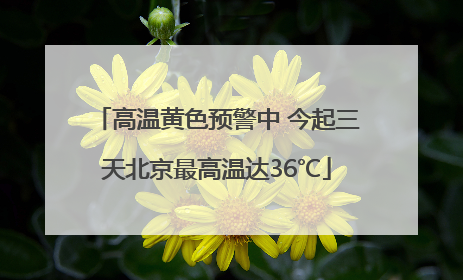 高温黄色预警中 今起三天北京最高温达36℃