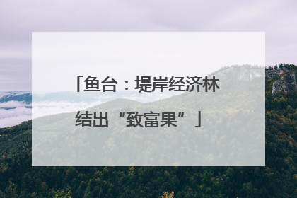 鱼台：堤岸经济林结出“致富果”