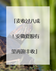 麦收过八成！安徽夏粮有望再迎丰收