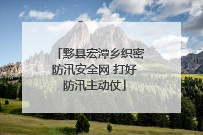 黟县宏潭乡织密防汛安全网 打好防汛主动仗