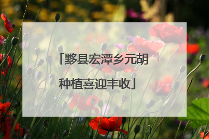 黟县宏潭乡元胡种植喜迎丰收