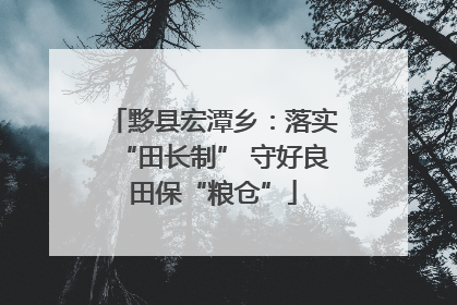 黟县宏潭乡：落实“田长制” 守好良田保“粮仓”