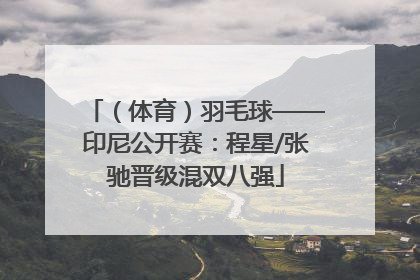 （体育）羽毛球——印尼公开赛：程星/张驰晋级混双八强