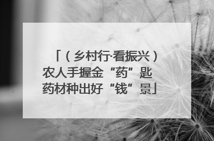 （乡村行·看振兴）农人手握金“药”匙 药材种出好“钱”景