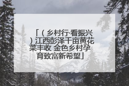 （乡村行·看振兴）江西彭泽千亩黄花菜丰收 金色乡村孕育致富新希望