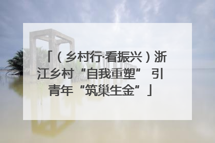 （乡村行·看振兴）浙江乡村“自我重塑” 引青年“筑巢生金”