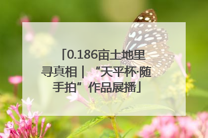 0.186亩土地里寻真相｜“天平杯·随手拍”作品展播