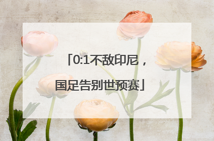 0:1不敌印尼，国足告别世预赛