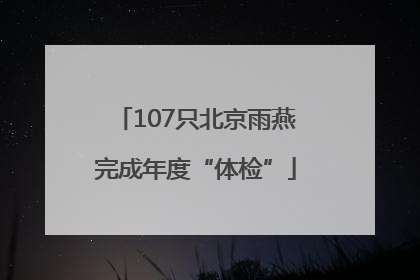 107只北京雨燕完成年度“体检”