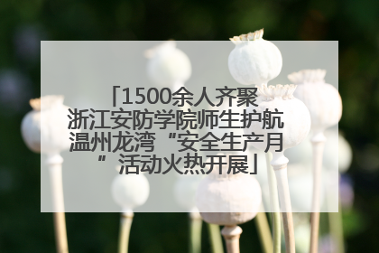 1500余人齐聚 浙江安防学院师生护航温州龙湾“安全生产月”活动火热开展