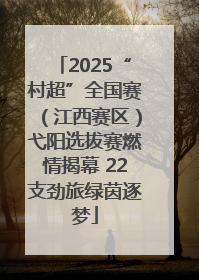 2025“村超”全国赛（江西赛区）弋阳选拔赛燃情揭幕 22支劲旅绿茵逐梦