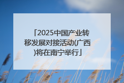 2025中国产业转移发展对接活动(广西)将在南宁举行