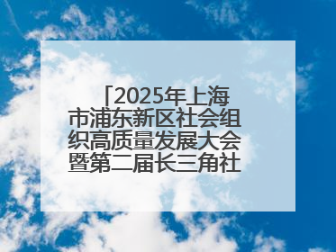 2025年上海市浦东新区社会组织高质量发展大会暨第二届长三角社会组织高质量发展峰会成功举办