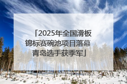 2025年全国滑板锦标赛碗池项目落幕 青岛选手获季军