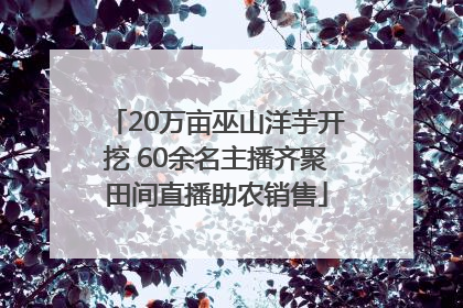 20万亩巫山洋芋开挖 60余名主播齐聚田间直播助农销售