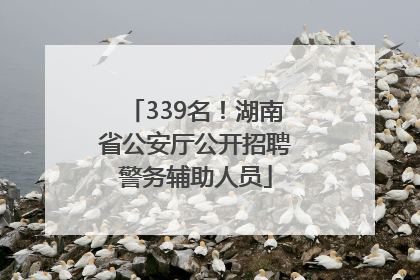 339名！湖南省公安厅公开招聘警务辅助人员