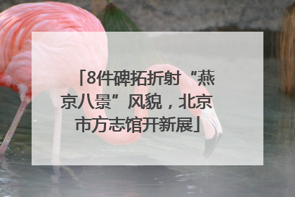 8件碑拓折射“燕京八景”风貌，北京市方志馆开新展