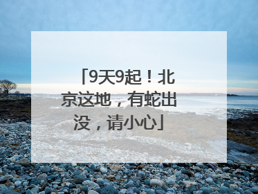 9天9起！北京这地，有蛇出没，请小心