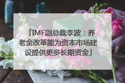 IMF副总裁李波：养老金改革能为资本市场建设提供更多长期资金