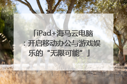 iPad+海马云电脑：开启移动办公与游戏娱乐的“无限可能”